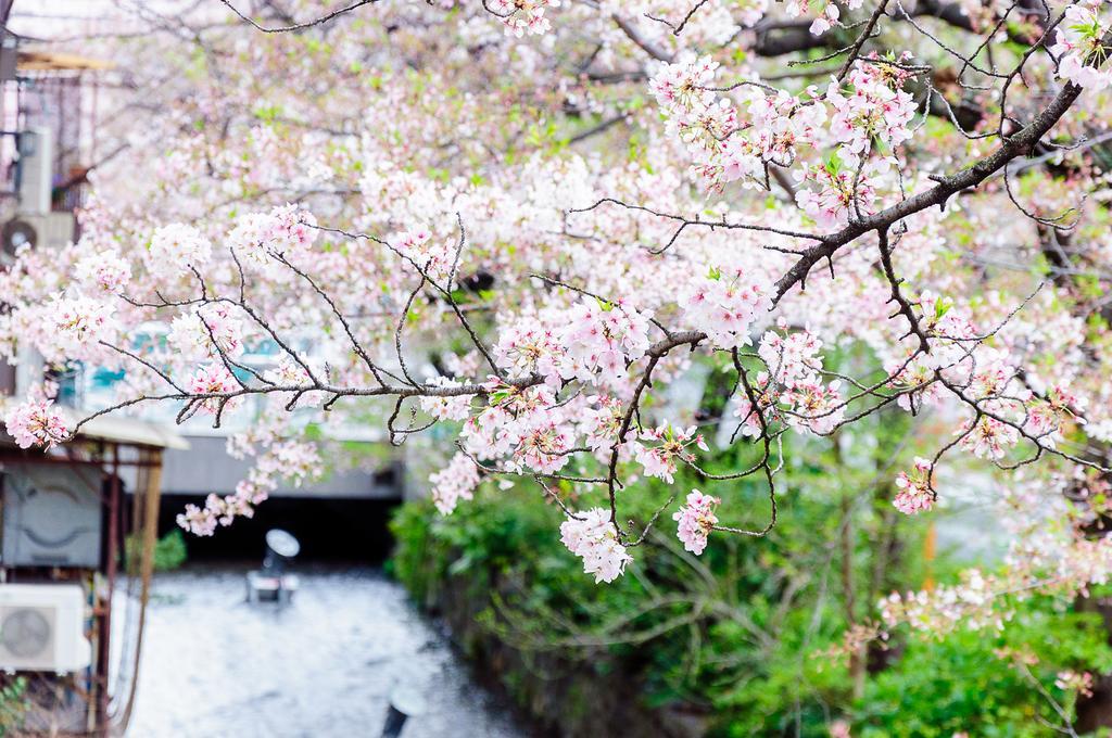 Kumomachiya Takasegawa Villa Kyoto Exterior photo